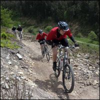 More Folk Discovering Dalby Forest!